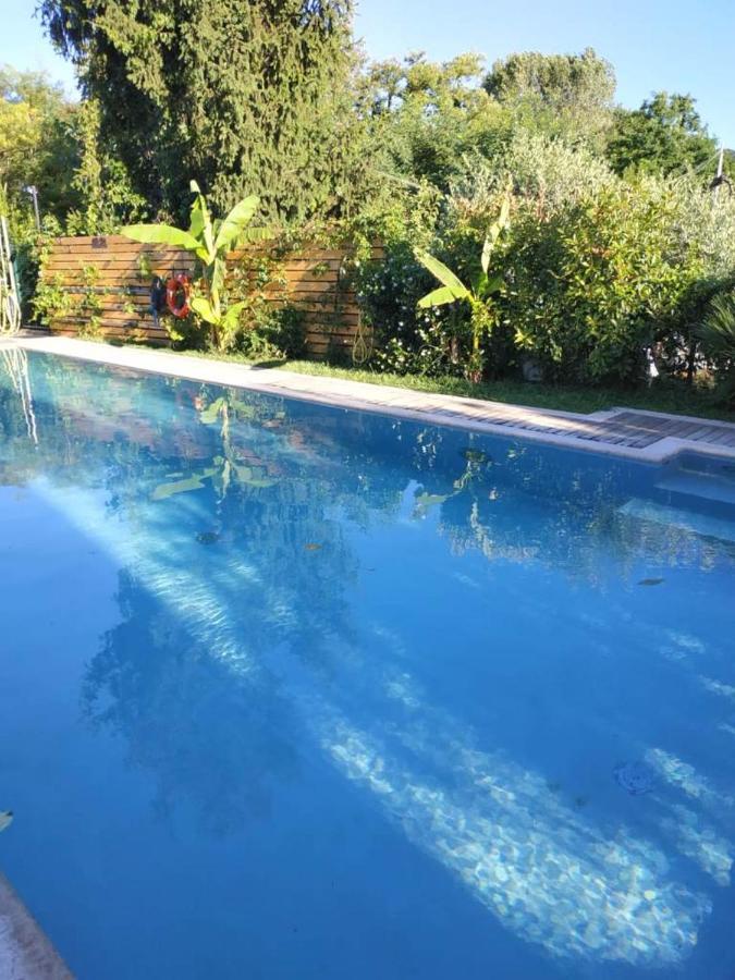 Villa Paradiso Del Garda Vista-Verde 巴多利诺 外观 照片